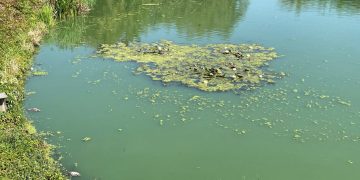 „Panie Burmistrzu, Państwo Radni – stawek śmierdzi coraz bardziej”