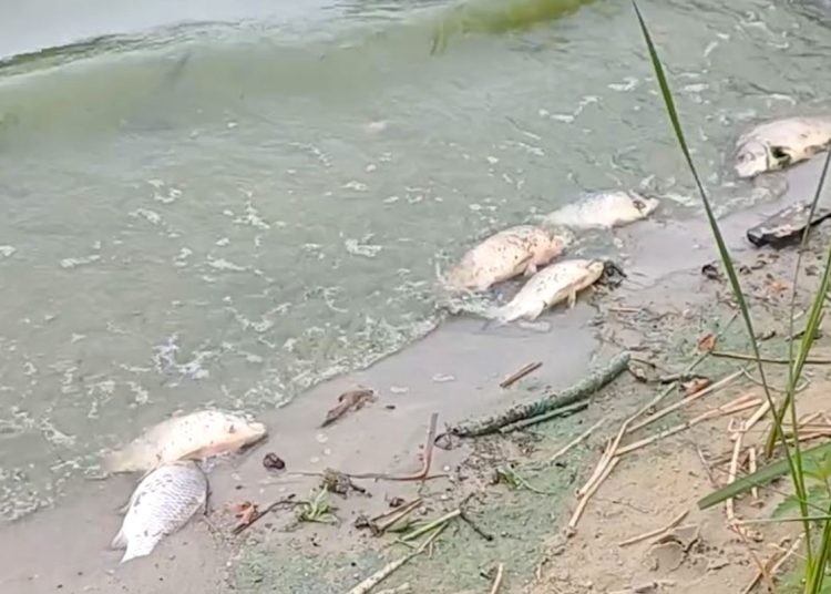 Zbadali wodę z Jeziora Słupeckiego. Znamy wyniki