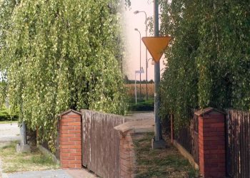 Od razu lepiej. Szybka reakcja po naszej publikacji