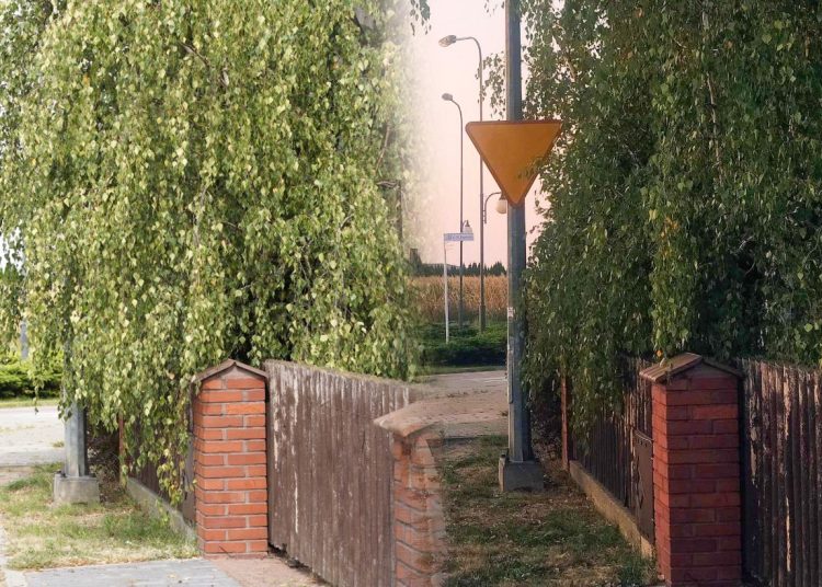 Od razu lepiej. Szybka reakcja po naszej publikacji