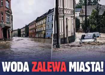 Każdy może pomóc – Organizator kampanii: Fundacja Siepomaga