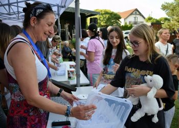 Zagrali dla Mateusza. Wiemy, ile zebrali