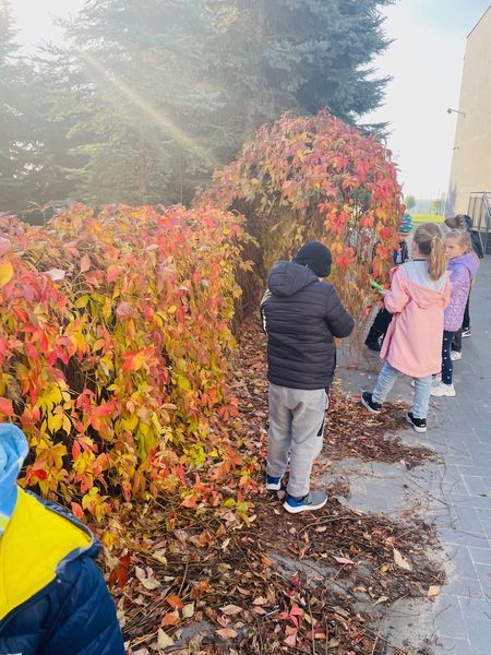 Zajęcia przyrodnicze w Lądku