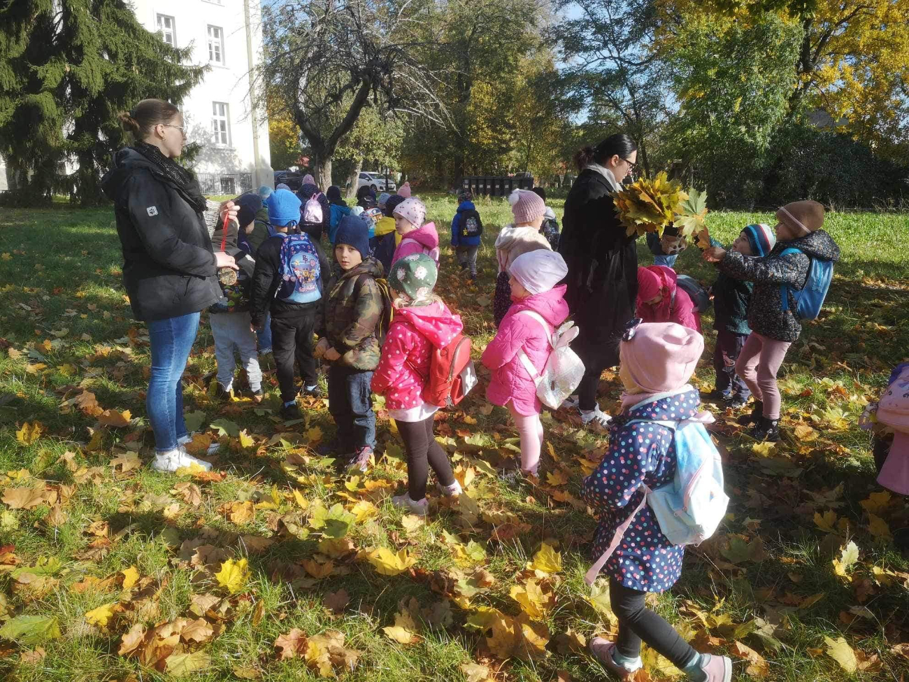 Zajęcia przyrodnicze w Lądku