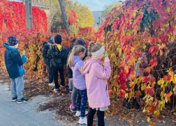 Zajęcia przyrodnicze w Lądku