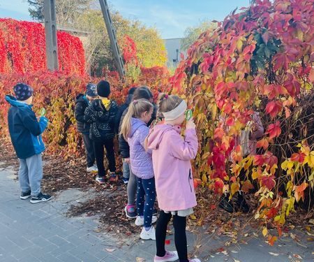 Zajęcia przyrodnicze w Lądku