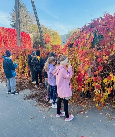 Zajęcia przyrodnicze w Lądku