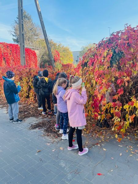 Zajęcia przyrodnicze w Lądku