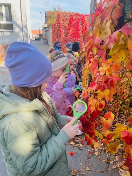 Zajęcia przyrodnicze w Lądku