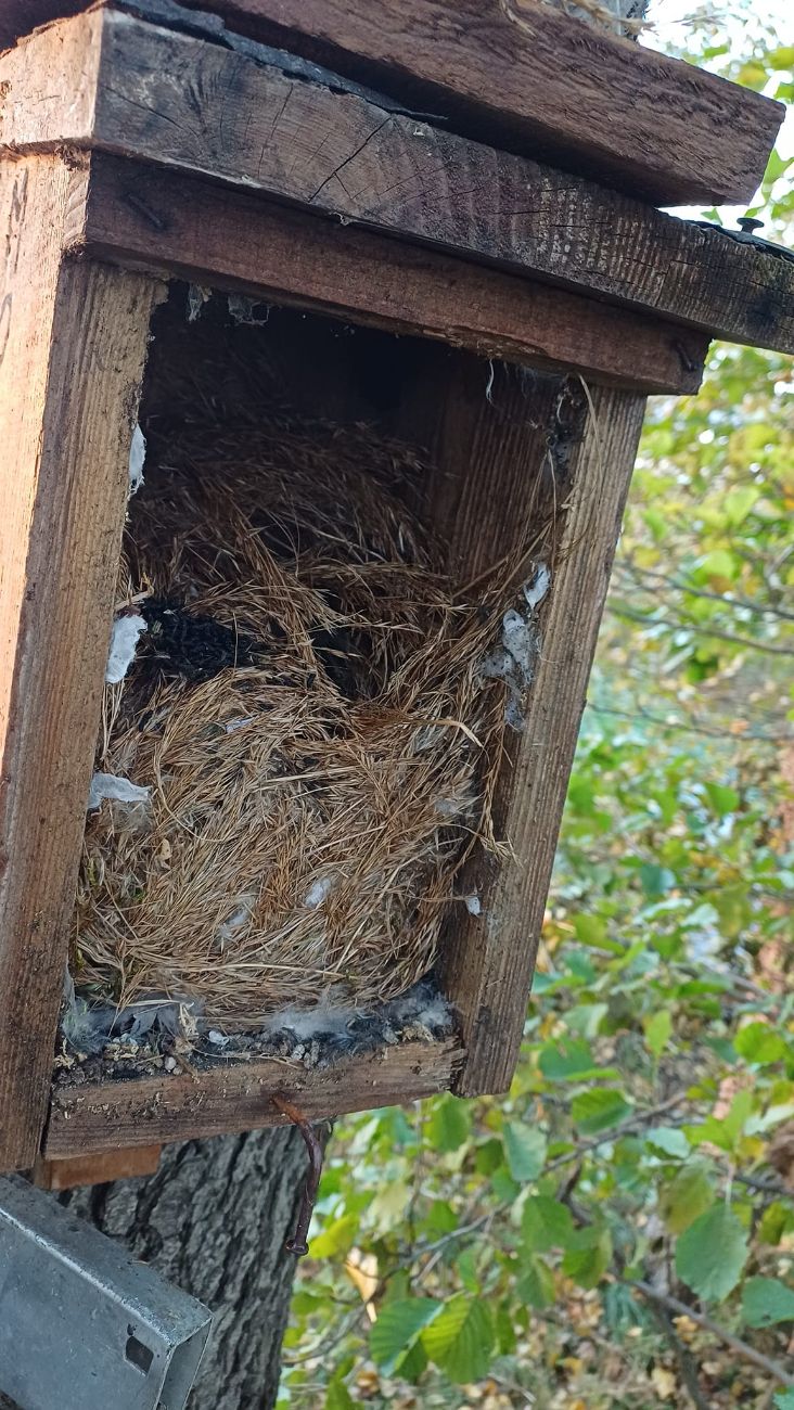 „Kolejna cegiełka dla naszego jeziora”. Brawo za tę akcję