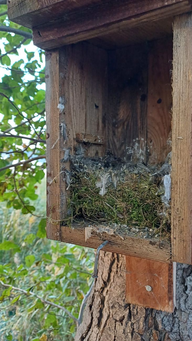 „Kolejna cegiełka dla naszego jeziora”. Brawo za tę akcję
