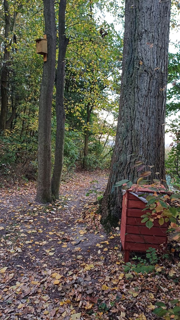 „Kolejna cegiełka dla naszego jeziora”. Brawo za tę akcję