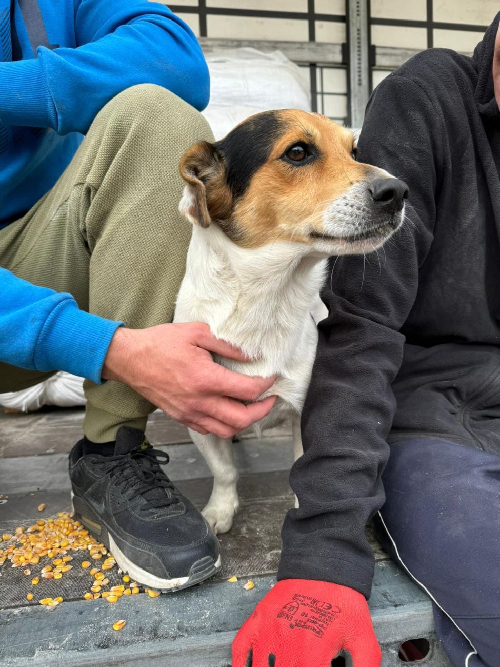 Nasi rolnicy pomogli powodzianom