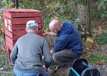„Kolejna cegiełka dla naszego jeziora”. Brawo za tę akcję
