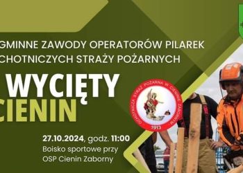 Wycięty Cienin