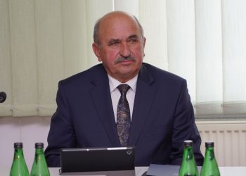 Radny pyta o uschnięte drzewa. Co z gwarancją?