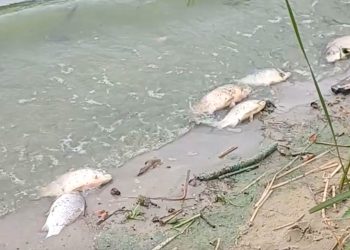 Kto powinien zająć się Jeziorem Słupeckim?