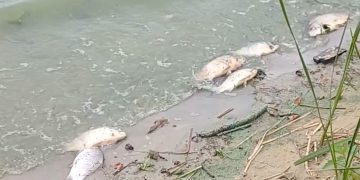 Kto powinien zająć się Jeziorem Słupeckim?