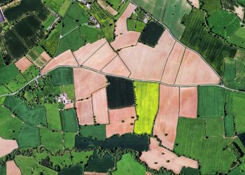 Szybkie ustalenie numeru działki – jak to zrobić?