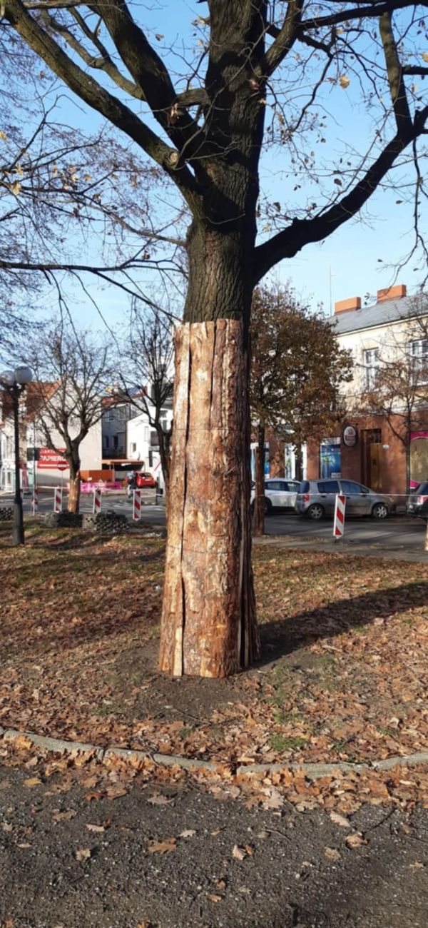 Burmistrz o remoncie rynku. „Od dziś wkraczamy w nowy etap”