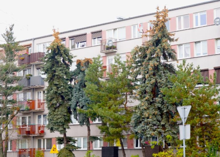 Spółdzielnia sprzedała mieszkanie na Pułaskiego