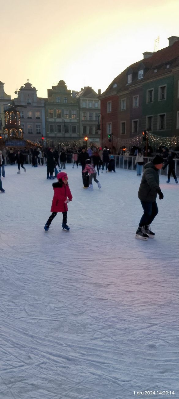 Dziedzice na wycieczce w Poznaniu