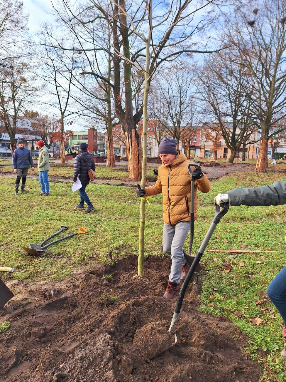 Burmistrz chwycił za szpadel. Dzieje się na rynku