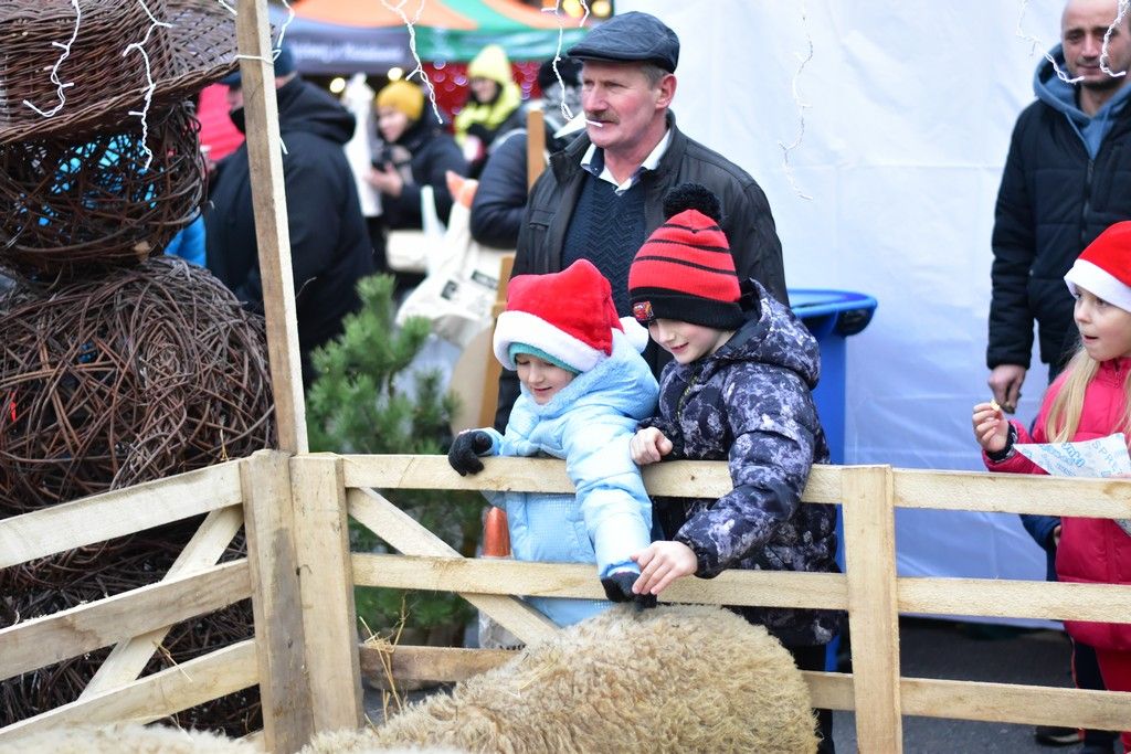 Tłumy na jarmarku w Zagórowie. Zobacz zdjęcia