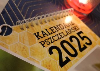 Pszczelarze zrobili coś niezwykłego