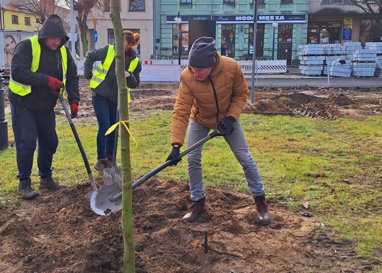 Burmistrz chwycił za szpadel. Dzieje się na rynku