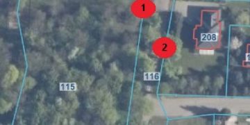 Drzewa były pomnikami przyrody. Wkrótce je wytną