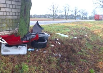 Kary ich nie odstraszają. Śmieci leżą przy przystankach