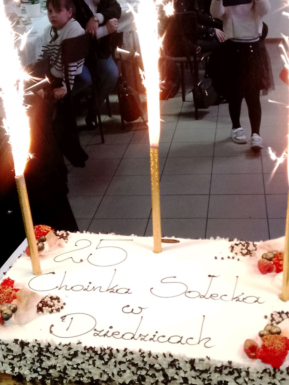 25 Sołecka Choinka w Dziedzicach