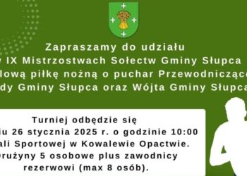 Dziewiąte piłkarskie mistrzostwa sołectw