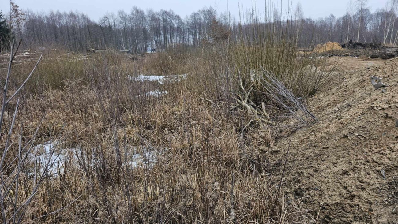 Wycięte drzewa w Polanowie. Wójt: „Będziemy to wyjaśniać”