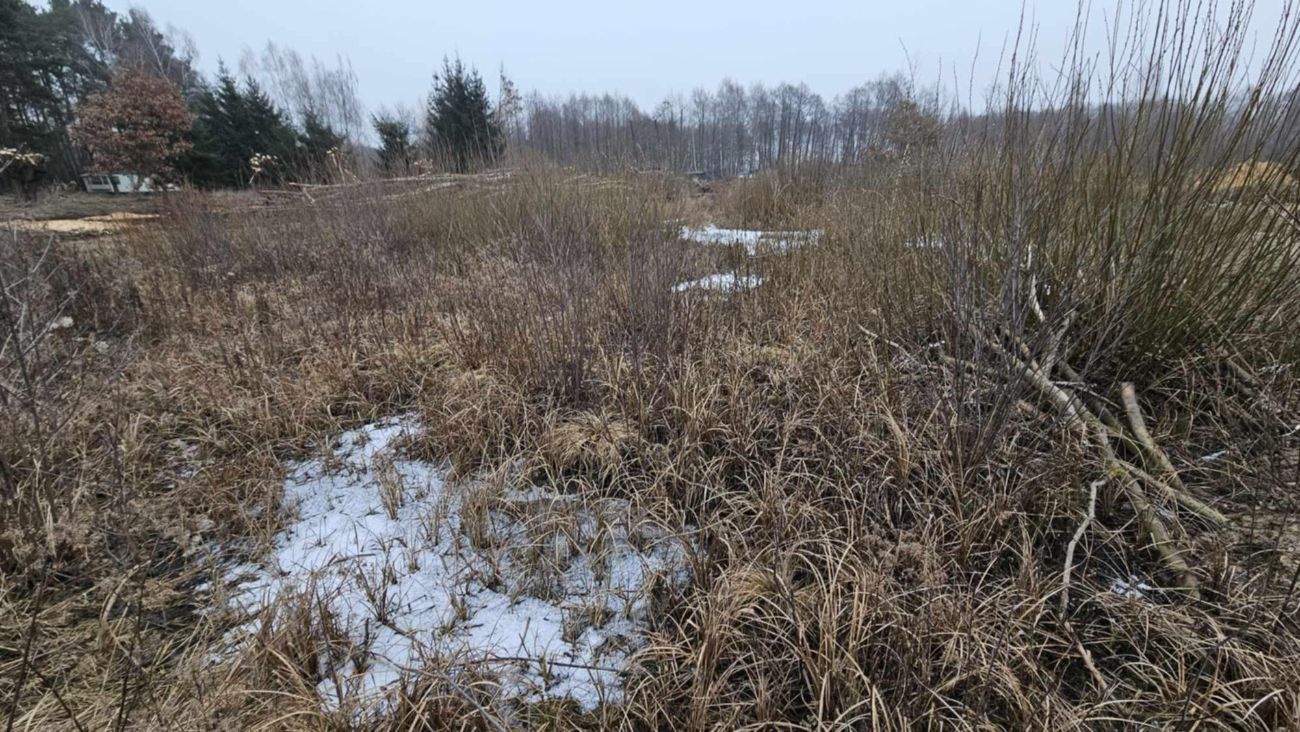 Wycięte drzewa w Polanowie. Wójt: „Będziemy to wyjaśniać”