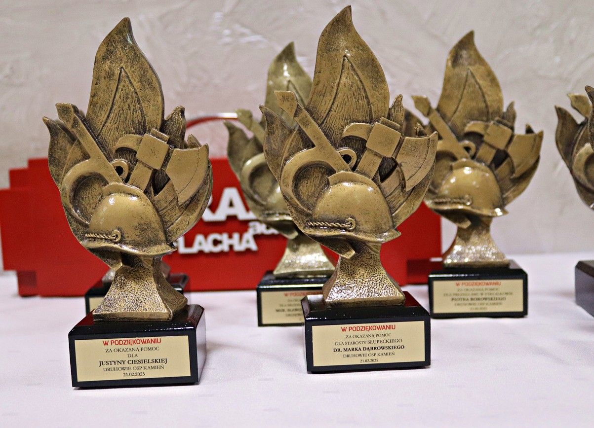 10 litrów krwi z Kamienia