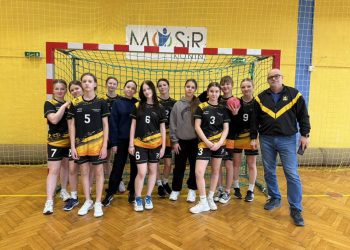 Rejonowy brąz Powidza