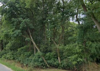 Powiat sprzedaje działkę w Kosewie. Tuż przy jeziorze