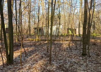 Co dalej z domkami nad Jeziorem Słupeckim? Burmistrz zdecydował