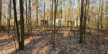 Co dalej z domkami nad Jeziorem Słupeckim? Burmistrz zdecydował