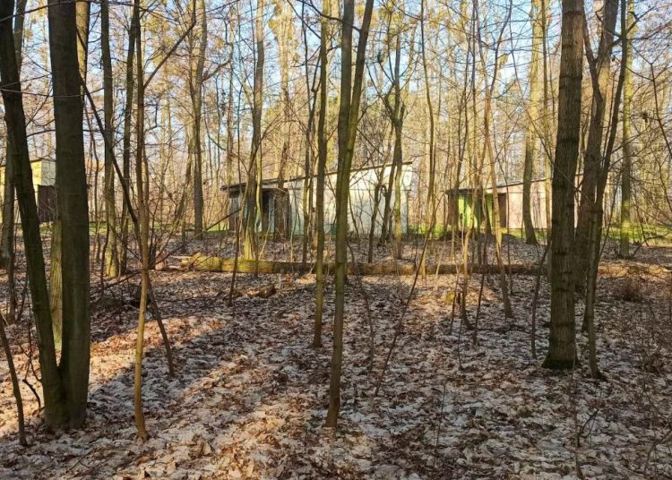 Co dalej z domkami nad Jeziorem Słupeckim? Burmistrz zdecydował