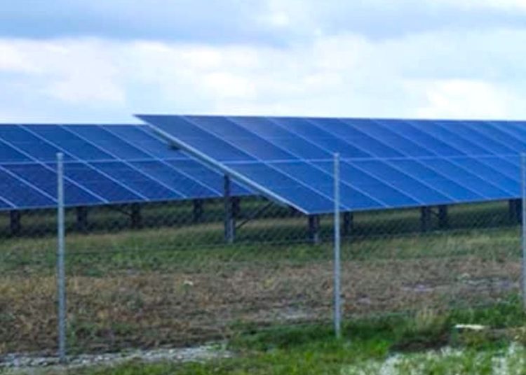 Nowy pomysł na farmę w Ostrowie Kościelnym