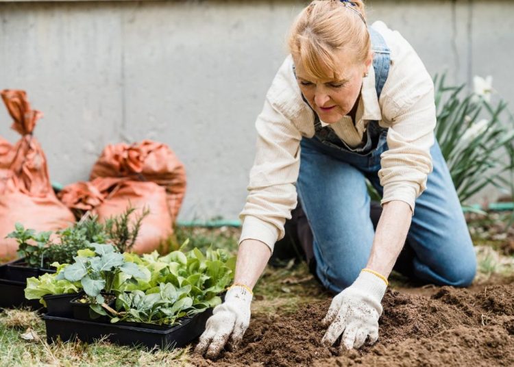 Zakładanie ogrodu na wiosnę – od czego zacząć?