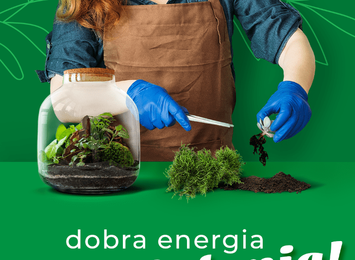 Zielone warsztaty kreatywne – LAS W SŁOIKU – kolejna bezpłatna edycja zajęć DIY w Ferio Konin!