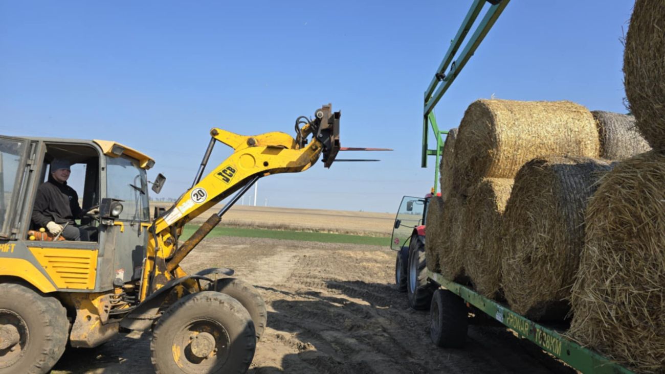 Mieszkańcy zjednoczyli siły. „W naszej okolicy nikt nie zostaje sam”