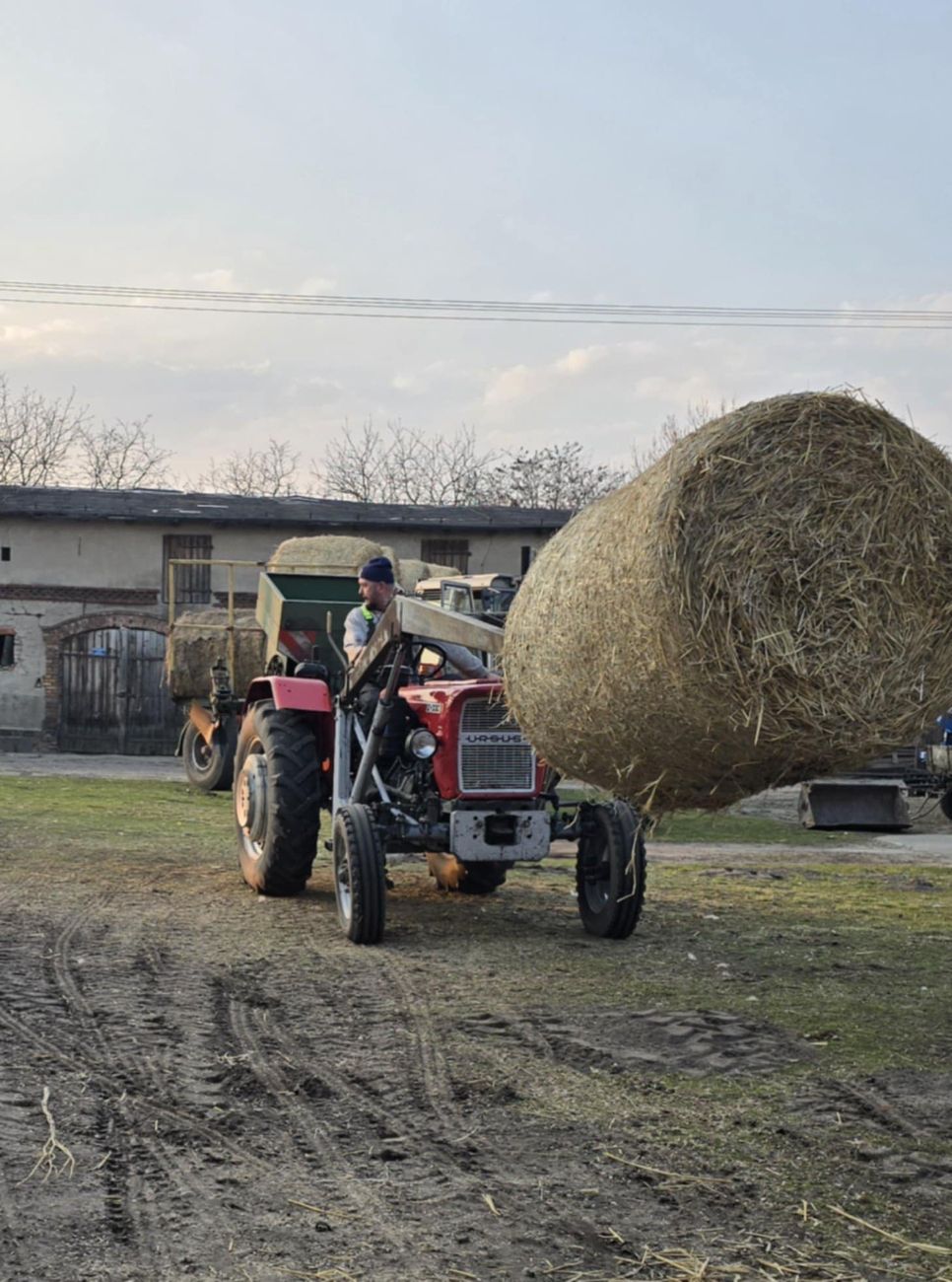 Mieszkańcy zjednoczyli siły. „W naszej okolicy nikt nie zostaje sam”