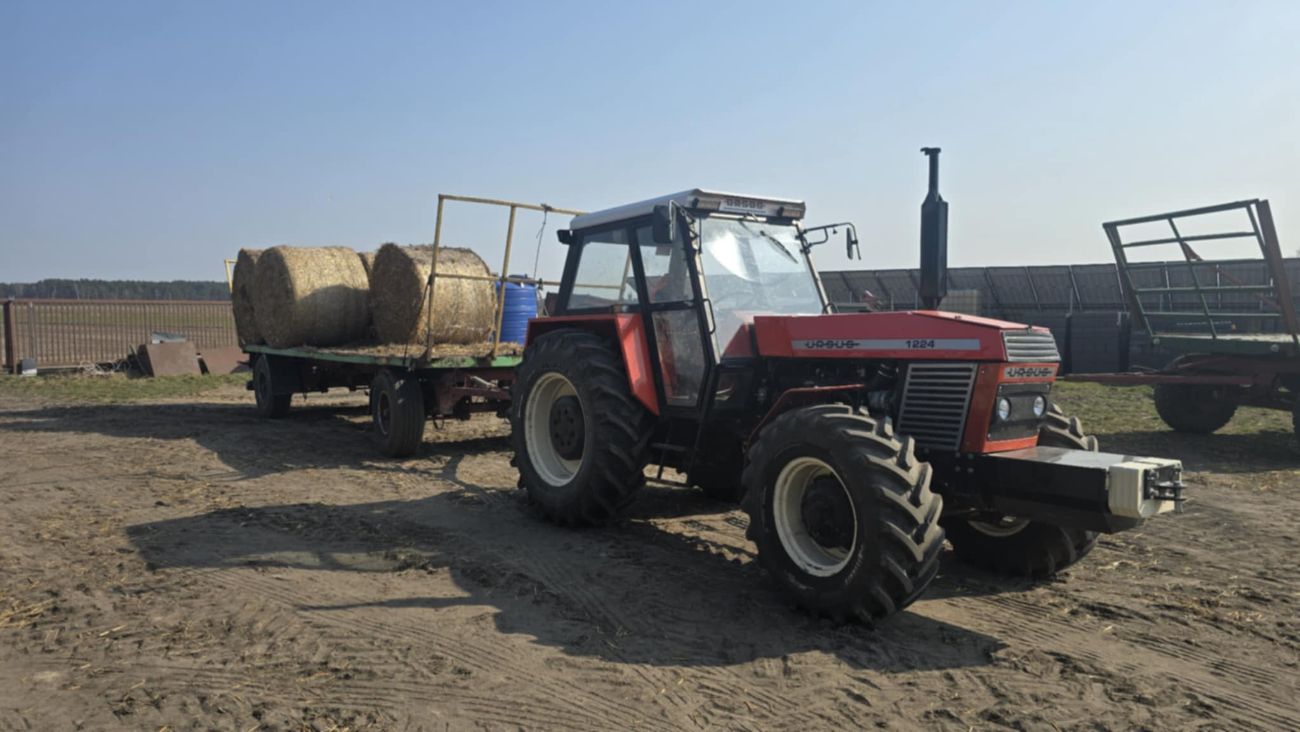 Mieszkańcy zjednoczyli siły. „W naszej okolicy nikt nie zostaje sam”