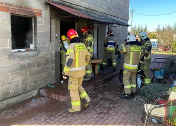 Akcja w Wilcznej. Co się stało?