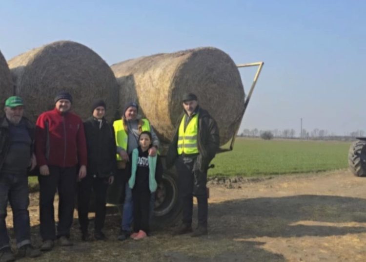 Mieszkańcy zjednoczyli siły. „W naszej okolicy nikt nie zostaje sam”